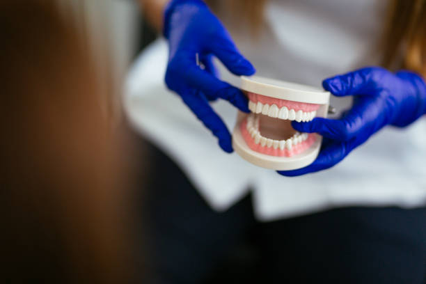 Professional Holistic Dental Care Services in Elmendorf, TX
